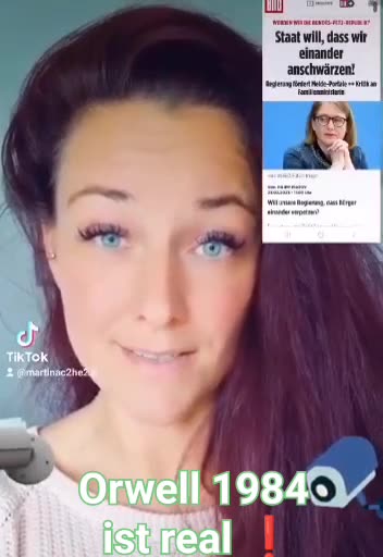 Orwell in Deutschland, Petze - Meldestelle