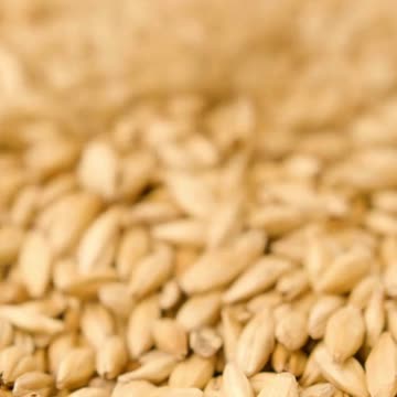 New To Brewing - learn how to brew beer