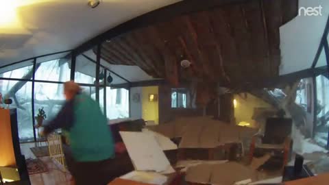 tree falling down on house