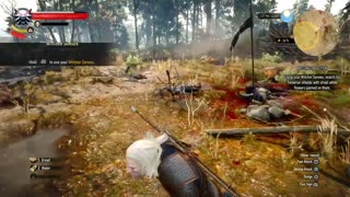 The Witcher 3: Wild Hunt - Missing In Action