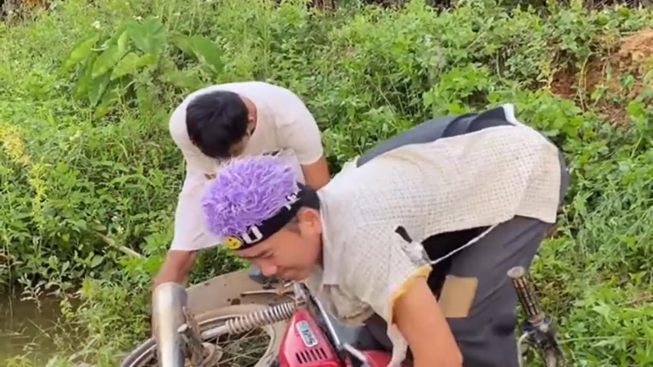Best Funny Videos - Try to Not Laugh 😆😂🤣