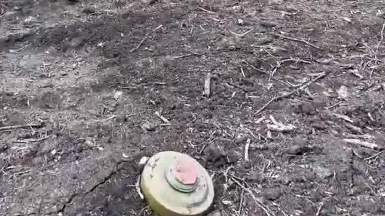 Ukrainians Walk Through Minefield to Take Russian Positions