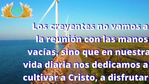 Capítulo 40 - Otras parábolas del reino de los cielos (8/8)