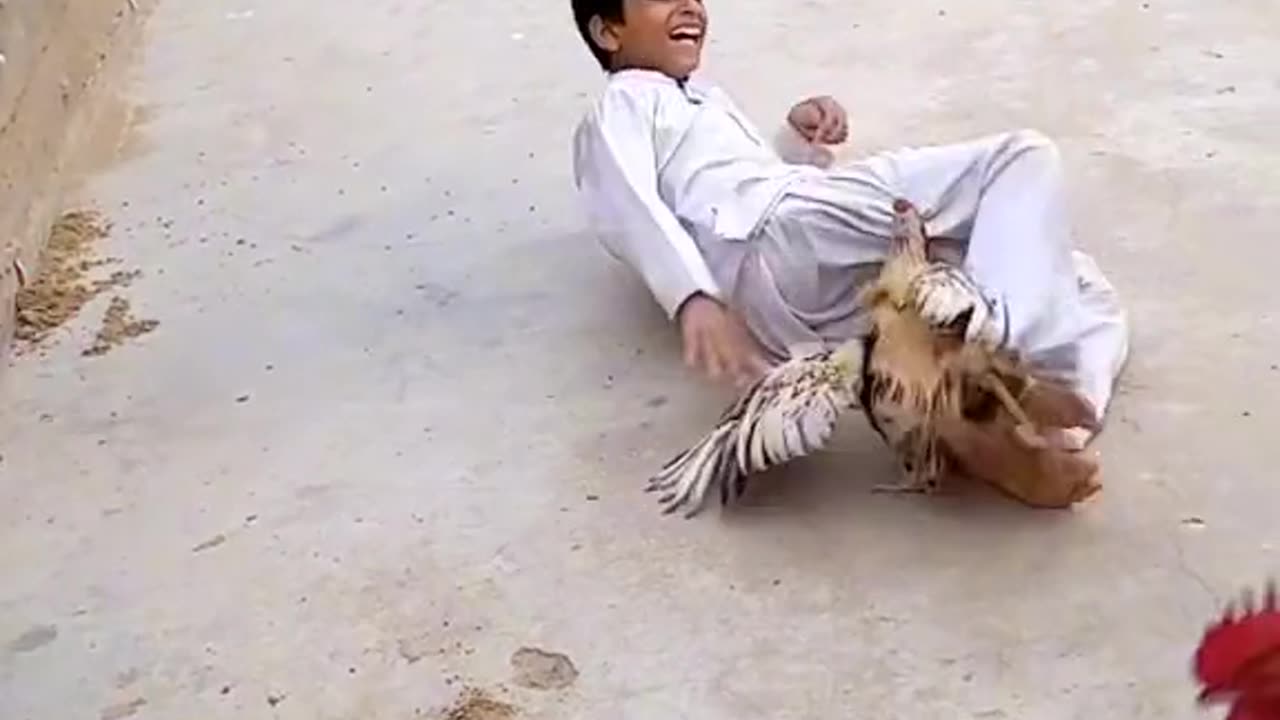 Massive fight between cock and boy