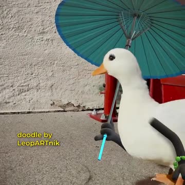 Exploring the Arctic: Wildlife of the Frozen World