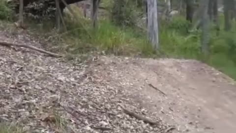 Funny fails