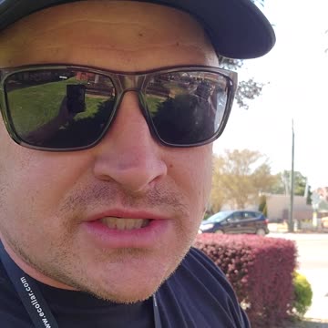 What a Dog “On the Job” Should Look Like