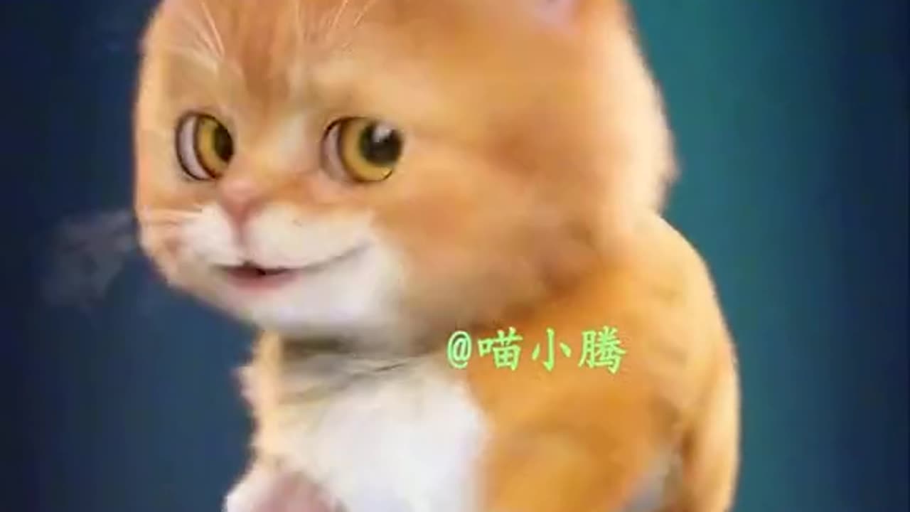 Cute pet trying to sing🥰🥰🤣😍😍