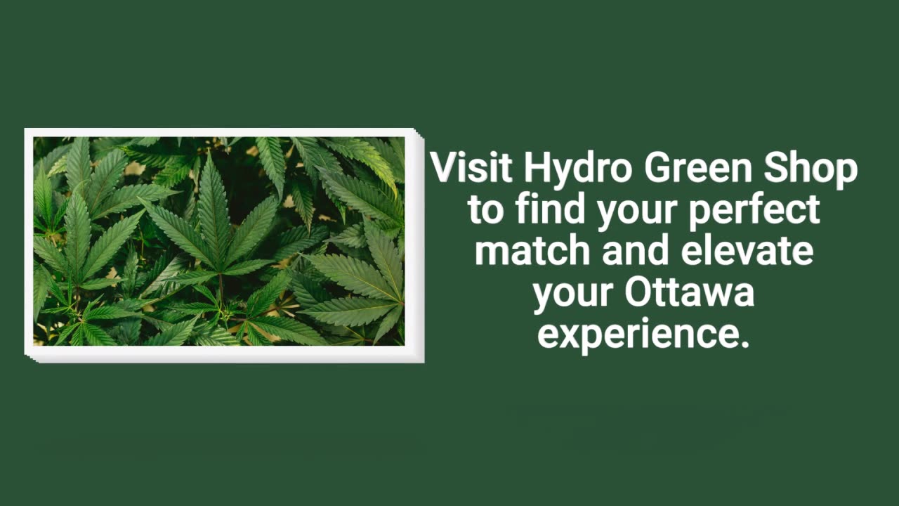 Elevate Your Ottawa Experience: Find Your Perfect Cannabis Strain!