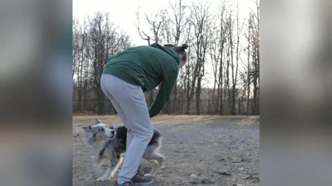 Dog jumping on girl's back