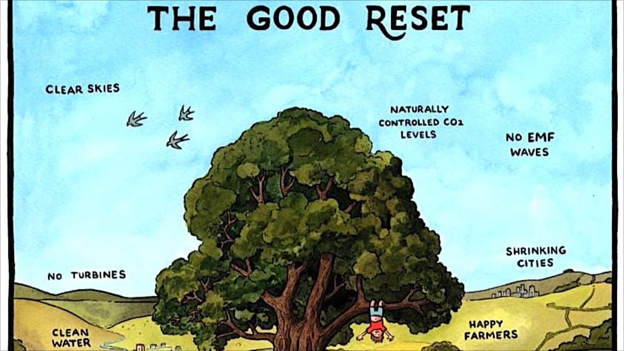The Good Reset...
