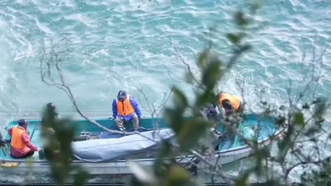 Taiji - Japan: 10 Bottlenose Dolphins killed, 4 dolphins driven back to the sea