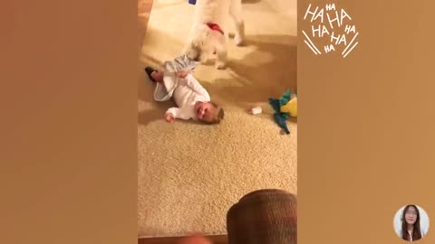 Christmas Baby Funny Fails Compilation 2022 || 5-Minute Fails