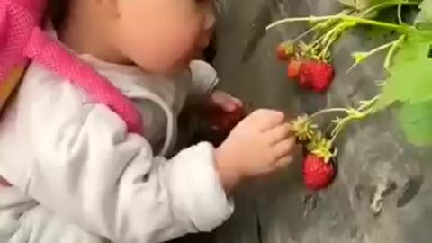 Cute baby 🍓❤️