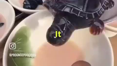 Turtle Milk Tea
