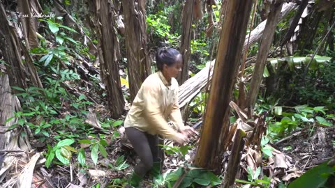 Harvesting banana & banaba flower