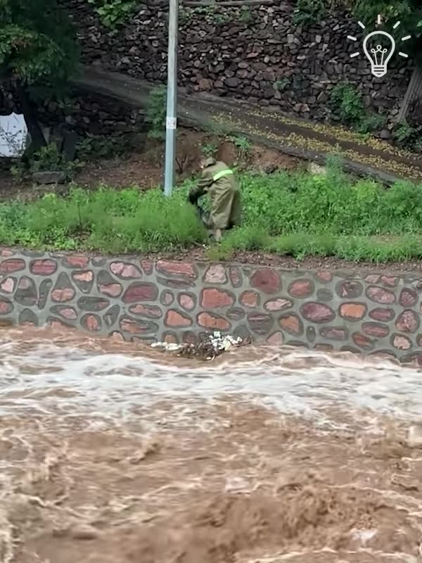 Brave men rescued dog trapped in strong river!