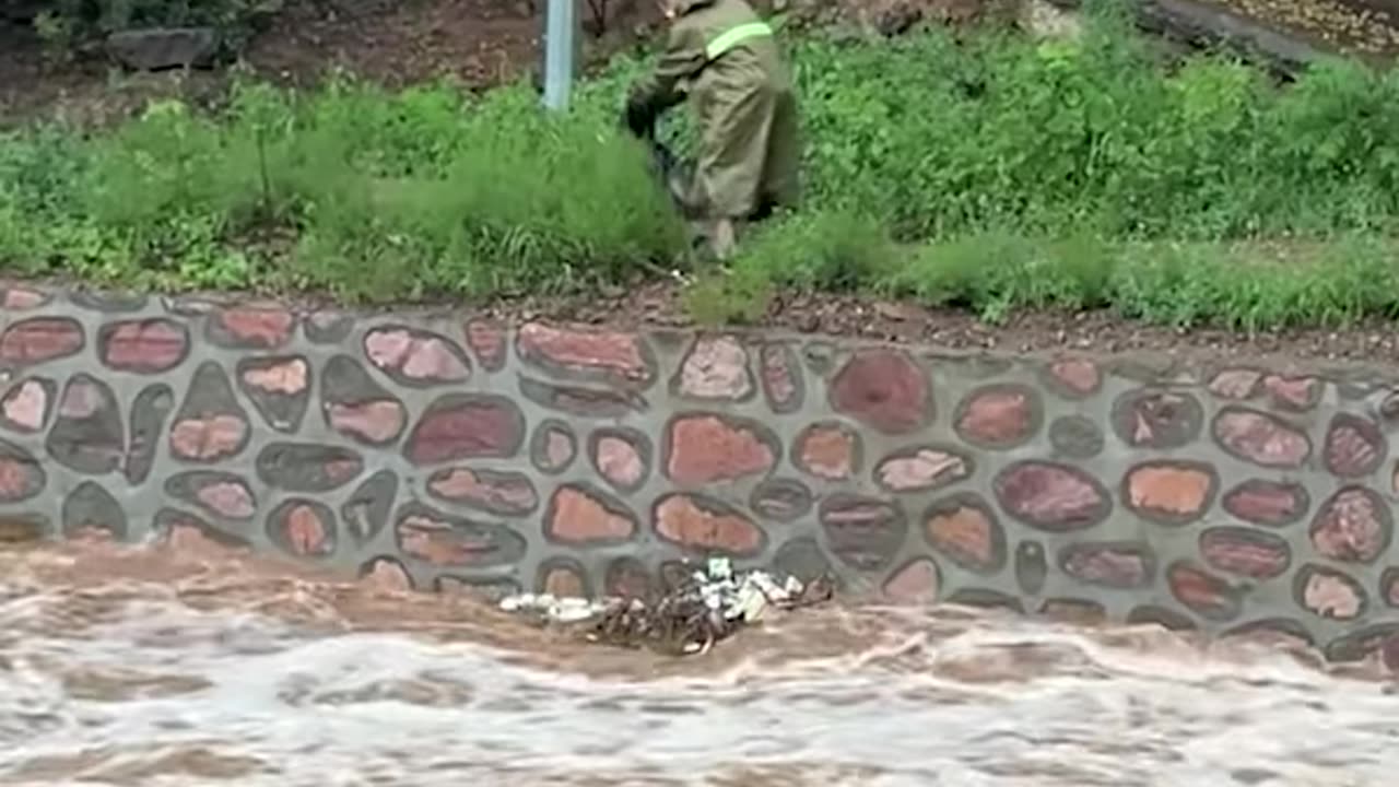 Brave men rescued dog trapped in strong river!