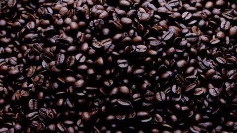 Where are the coffee lovers?