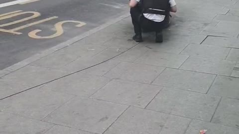 Police Officer Fails to Lay Spike Strip