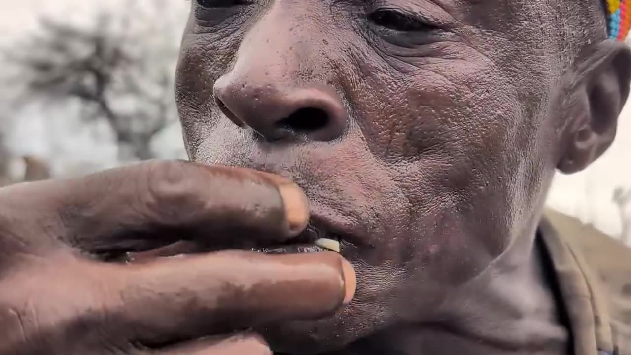 Sweet taste,,,🤤it's breakfast Meal Chief hadza enjoying their Favorite food#culture #bushmen