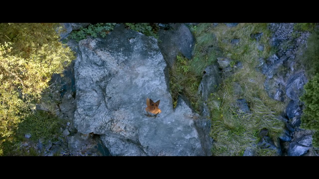 The Fox and the Bird - CGI short film
