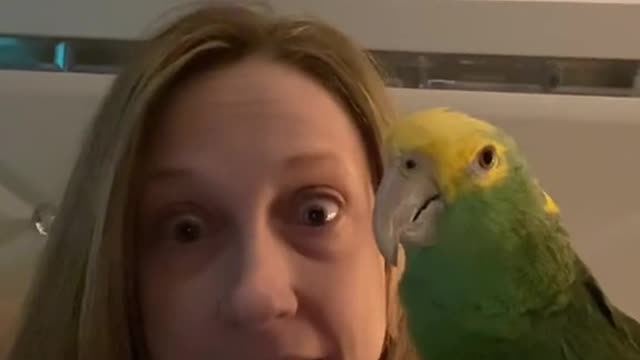 Maybe don't have “seggs" around Parrots