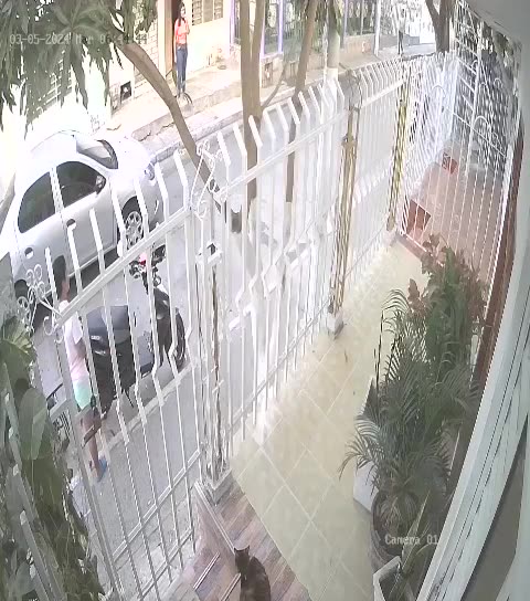 ROBO ATRACO BUENOS AIRES BARRIO 5 DE MARZO