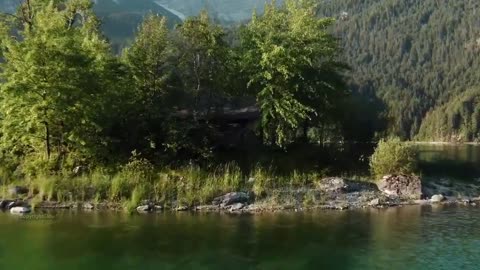 Cloud moments. | Forest beauty |