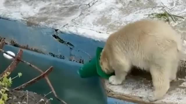 Funny animals try not to laugh 😂😂