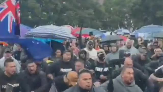 The Native Maori doing "The Haka outside New Zealand's parliament"