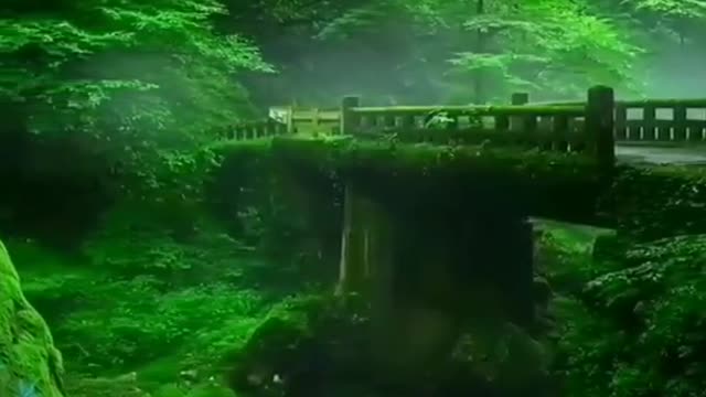 Nature Video • Meditation Music • Relaxing Music • Nature Videos