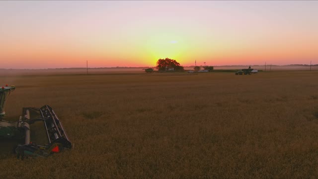 Bradberry Harvesting