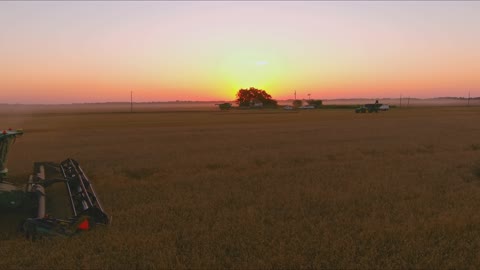 Bradberry Harvesting