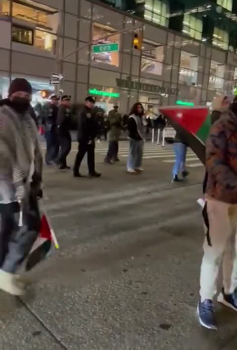 Visibly Jewish person walks by pro-Hamas NYC rally yesterday called “nazi,” “k*ke,”