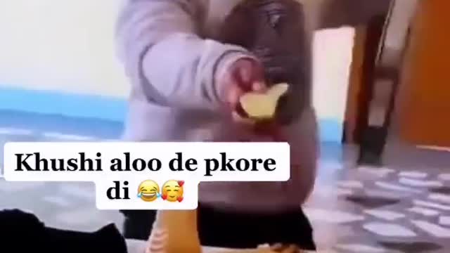 Funny videos