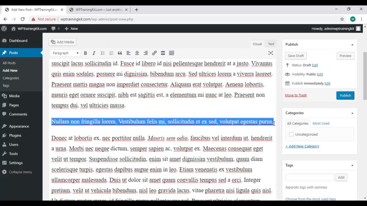 WP Training video -11/ How to Create and edit content with word press classic editor