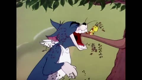 Tom & Jerry | Best of Jerry and Little Quacker |