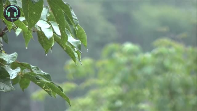Surah Al Rahman by Omar Hisham Al Arabi with relaxing rain drops sound
