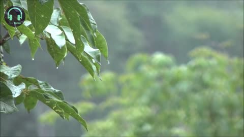 Surah Al Rahman by Omar Hisham Al Arabi with relaxing rain drops sound