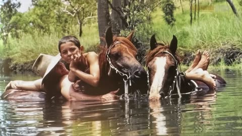 The Rhodesian Maverick Australian Outback Grazier Using Donkeys To Regenerate His Land