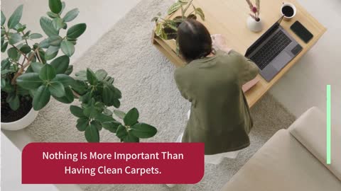 Carpet Cleaning Services Kingston