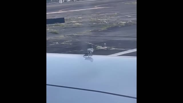 pidgin on a plane