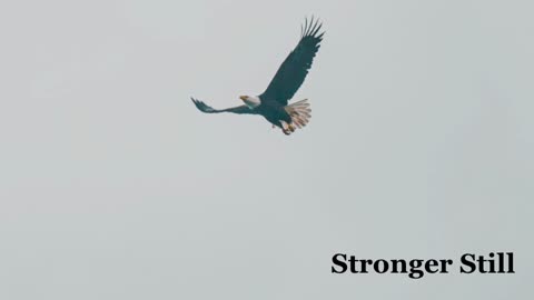 Pray USA, 7/3/23 Stronger Still