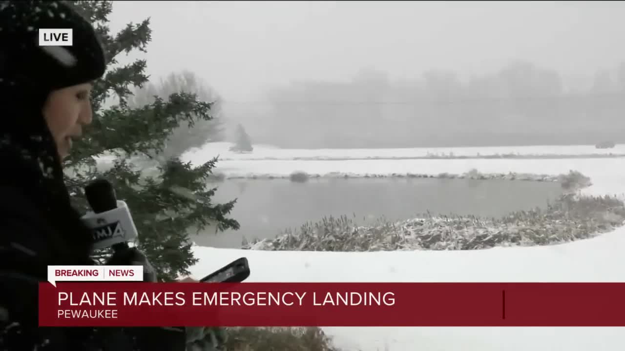 Plane carrying 50+ dogs lands on Western Lakes Golf Course, several people injured_4