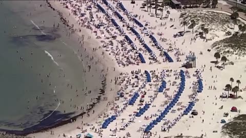 USF expands tourism program