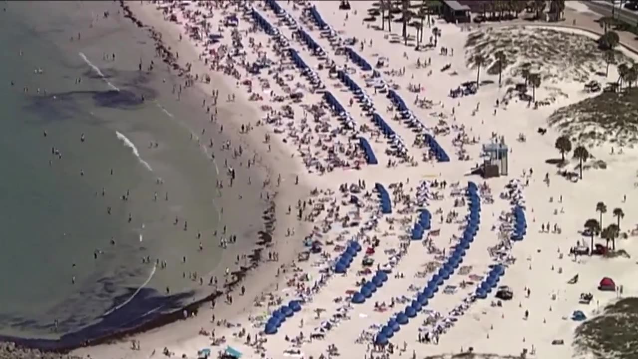 USF expands tourism program