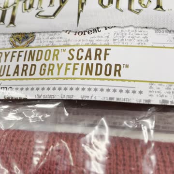 Harry Potter costume