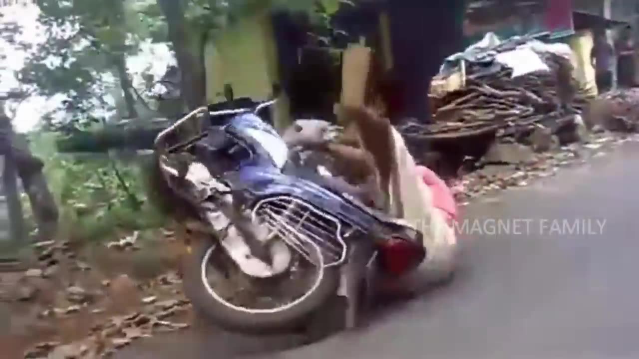 Funny bike stunt fails