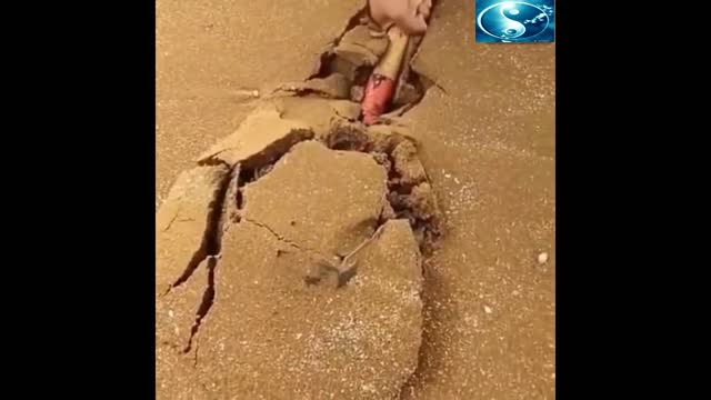 THE MOST SCARY SEA MADNESS.
